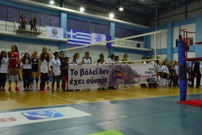 volley_noborders