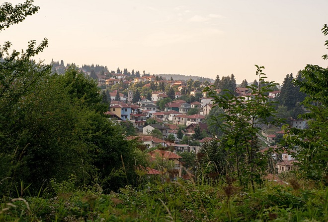 seli