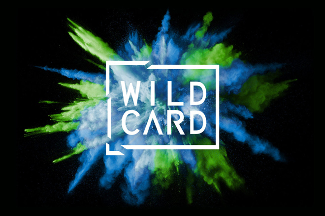 ΕΣΑΠ και Wild Card